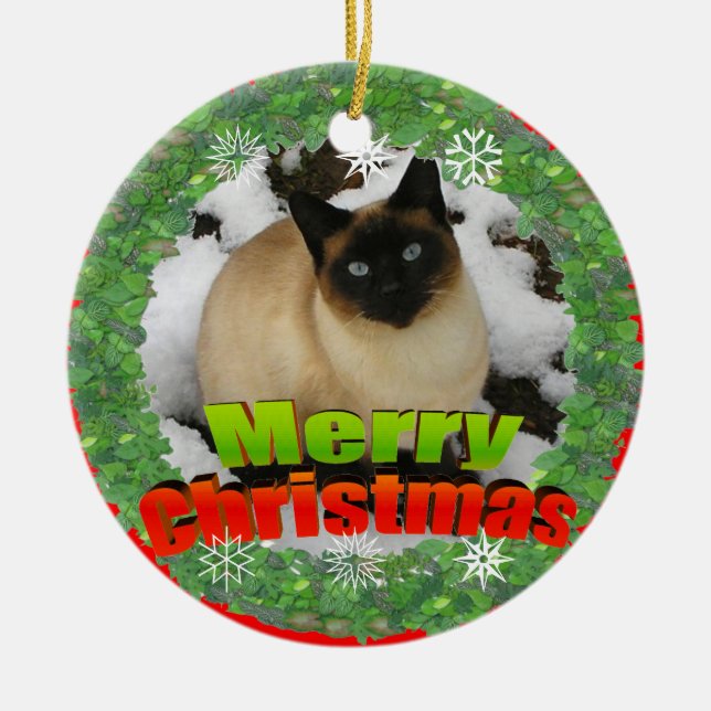 Merry Christmas Snow Cat Photo Frame Ornament (Front)