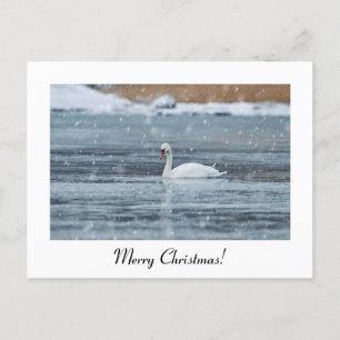 Merry Christmas snow swan postcard