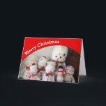 Merry Christmas snowman card<br><div class="desc">This snowman Christmas card is sure to bring a few smiles this Christmas. Use the sample photo or change it for one of your own. Update the message if you would like to create a personal touch. Always customise the design to check your creation before ordering to ensure good image...</div>