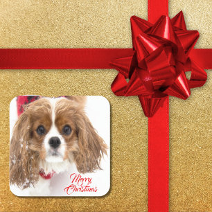 Merry Christmas Snowy Cavalier King Charles Square Sticker
