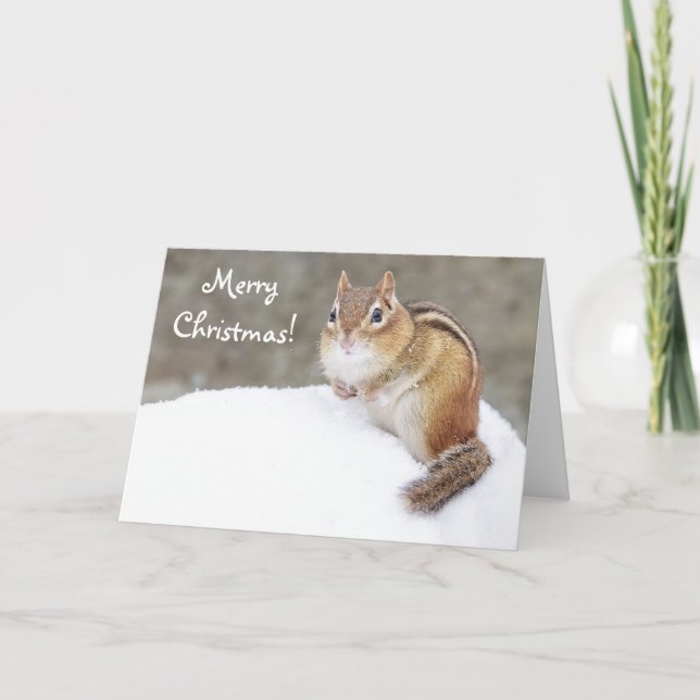 Merry Christmas Snowy Chipmunk Holiday Card (Front)