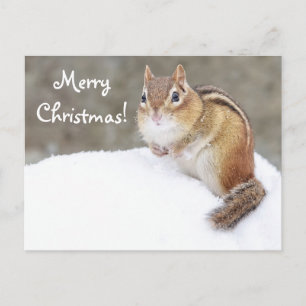Merry Christmas Snowy Chipmunk Holiday Postcard