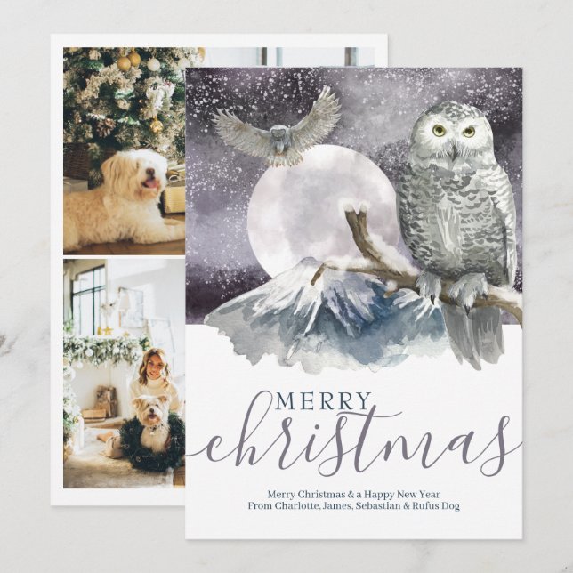 Merry Christmas Snowy Owl Personalised Holiday Card (Front/Back)