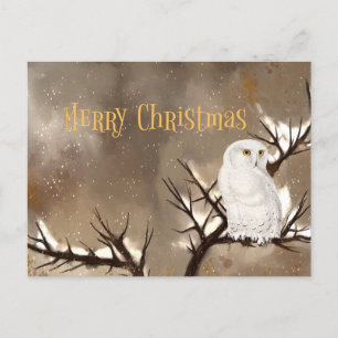 Merry Christmas Snowy Owl Postcard