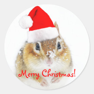 Merry Christmas Snowy Santa Chipmunk Classic Round Sticker