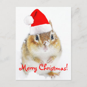 Merry Christmas Snowy Santa Chipmunk Holiday Postcard