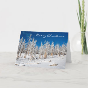Merry Christmas, Snowy Trees, Holiday Card