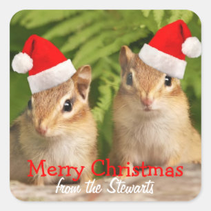 Merry Christmas Square Labels with Baby Chipmunks