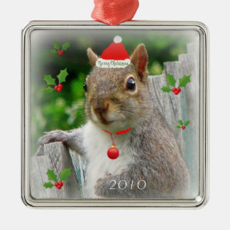 Merry Christmas Squirrel 2010 Metal Ornament