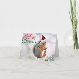 Merry Christmas Squirrel Holiday Card
