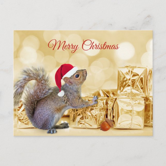 Merry Christmas Squirrel in Santa Hat & Gifts  Holiday Postcard (Front)