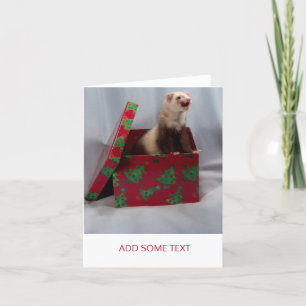 Merry Christmas — Surprise Ferret Holiday Card
