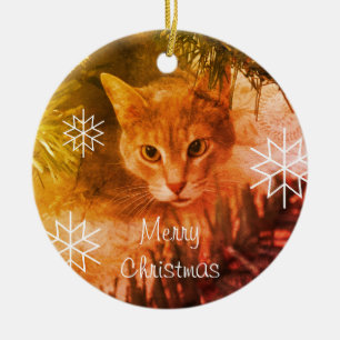 Merry Christmas Tabby Cat Snowflakes Ceramic Ornament
