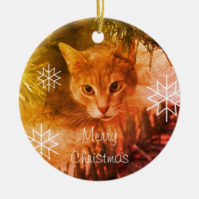 Merry Christmas Tabby Cat Snowflakes Ceramic Ornament (Front)