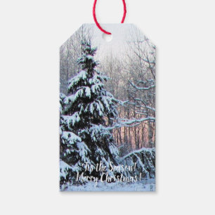 Merry Christmas!  'Tis the Season!' Gift Tags