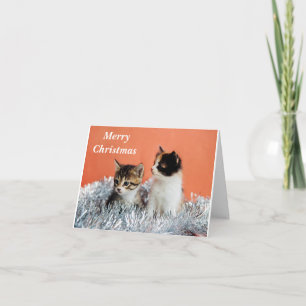 MERRY CHRISTMAS TO *ONE COOL CAT* CARD