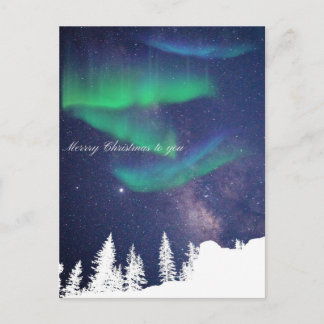 Merry Christmas to You Postcard