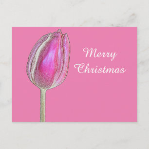 Merry Christmas Tulip Flower Floral Art Pink White Holiday Postcard