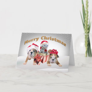 Merry Christmas Two Bulldogs & Kitten card