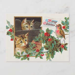 Merry Christmas vintage 1911 illustration Postcard