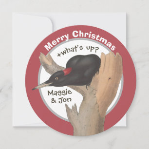 Merry Christmas +what's up? Woodpecker CC1043 Card