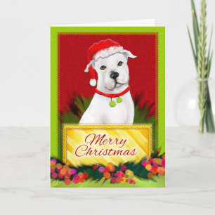 Merry Christmas White Pitbull Christmas Card