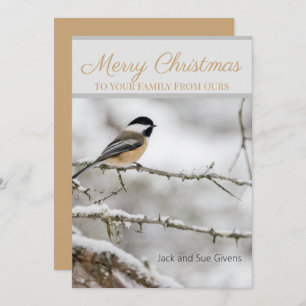 Merry Christmas Winter Bird Custom  Holiday Card