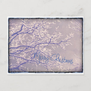 Merry Christmas Winter Tree Branches Holiday Postcard