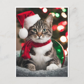 Merry Christmas with a cute kitten Holiday Postcard