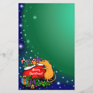 Merry Christmas with Rat Prince