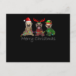 Merry Christmas with three pug dogs Holiday Postcard