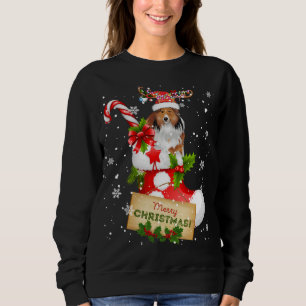 Merry Christmas Xmas Lights Santa Reindeer Sheltie Sweatshirt