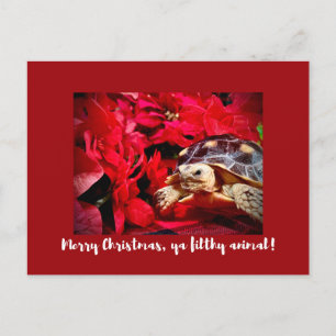 Merry Christmas ya filthy animal baby turtle Xmas Postcard