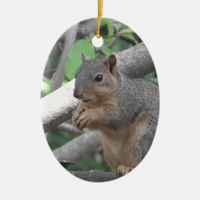 Merry Christmas ya nut Funny Squirrel Ceramic Ornament (Front)