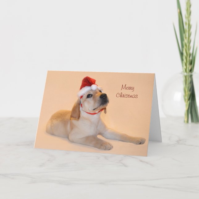 Merry Christmas - Yellow Lab Holiday Card (Front)