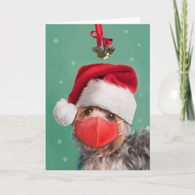 Merry Christmas Yorkshire Terrier in Face Mask Holiday Card (Front)