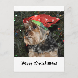 Merry Christmas Yorkshire Terrier Postcard Card