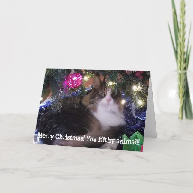 Merry Christmas you filthy animal aloof cat Holiday Card (Front)