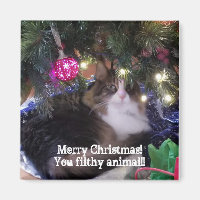Merry Christmas you filthy animal aloof cat