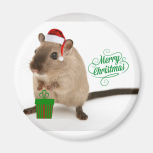 Merry Christmouse Magnet