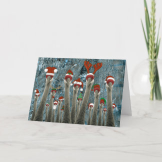Merry 'Cranes Among Us' Holiday Card