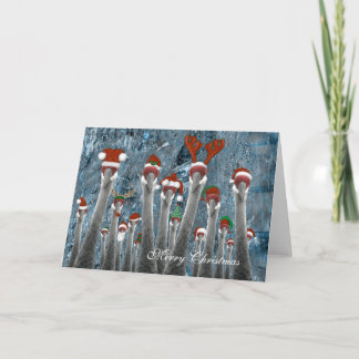 Merry Cranes Among Us Holiday Card