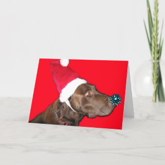 Merry Dogmas! Holiday Card