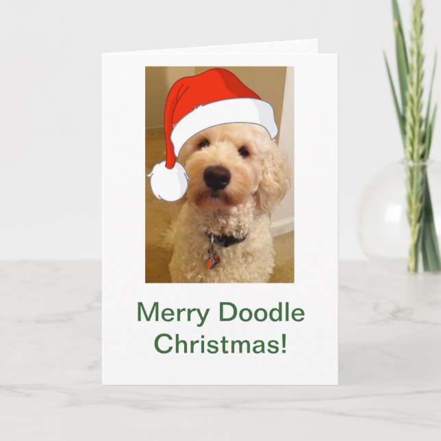 Merry Doodle Christmas! Holiday Card (Front)