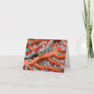 Merry Fishmas Goby Holiday Card