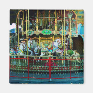merry-go-round magnet