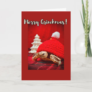 Merry Grinchmas baby sulcata tortoise in a red hat Card