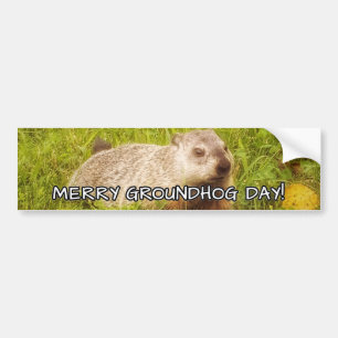 Merry Groundhog Day bumper sticker