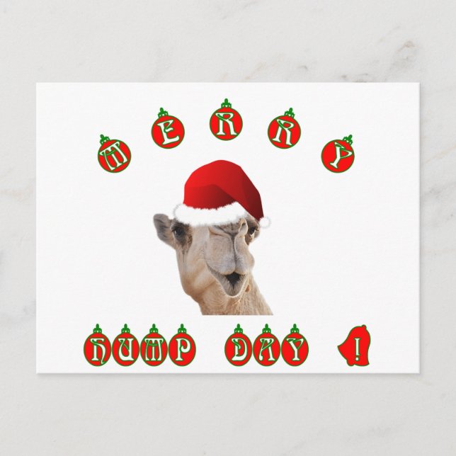 Merry Hump Day Hump Day Camel Holiday Postcard (Front)