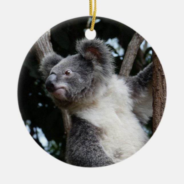 merry koala-mas ceramic tree decoration (Front)